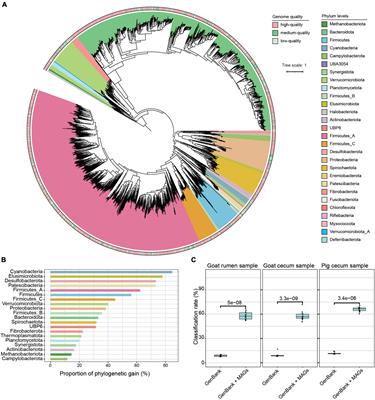 Transmission of the gut microbiome in cohousing goats and pigs